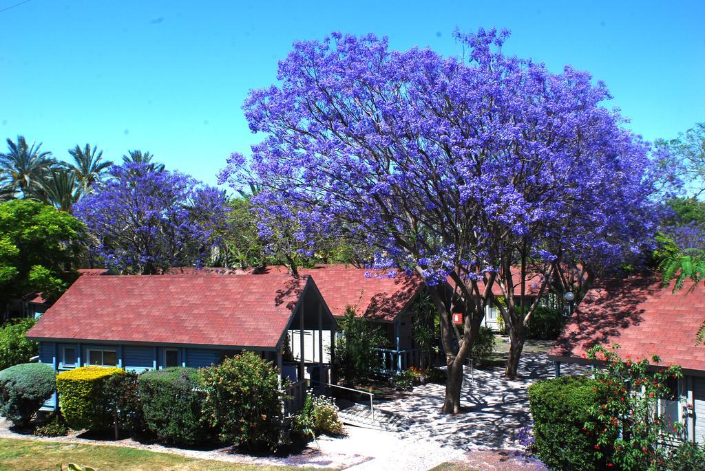 Nir David Country Lodge Luaran gambar